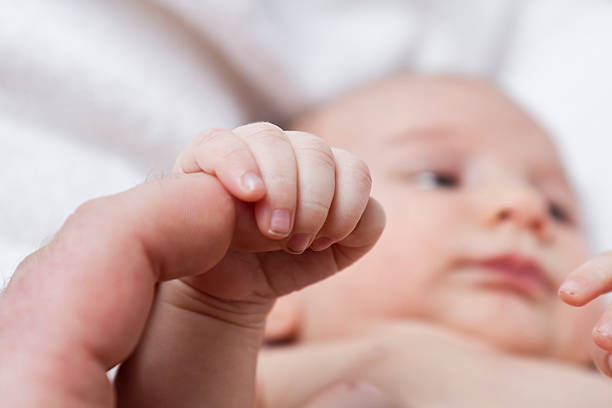 nursling holding finger of adult person stock photo