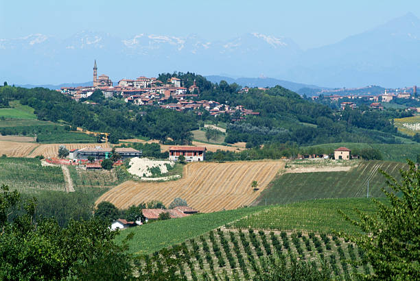 istock Vineyards of Monterrato on Piedmont 531048183