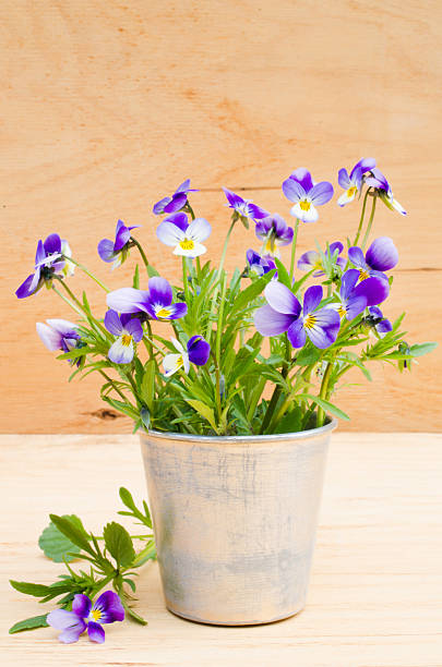 istock Spring flowers in vintage vase on wooden background, rustic style. 531048308