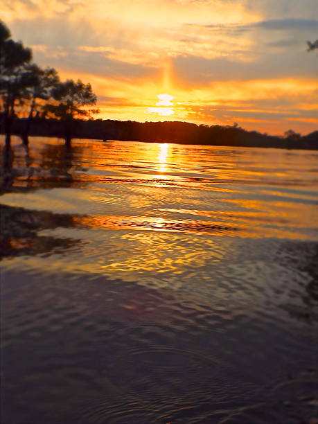 istock Sunset Sky on Caddo Lake 531048754