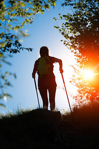 istock Nordic walking towards the sun in nature 531049306