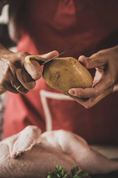 istock Unrecognizable woman cooking chicken 531049404