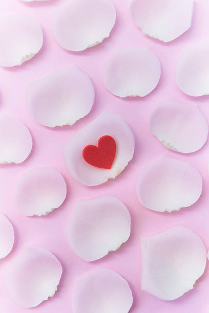 istock Flower petals and heart 531049698