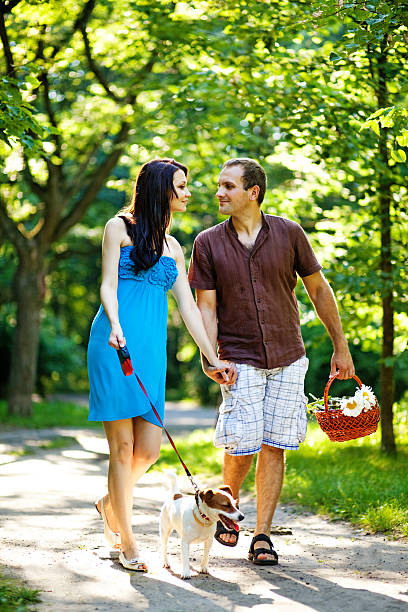 istock Couple walking in a park with their dog 531051379
