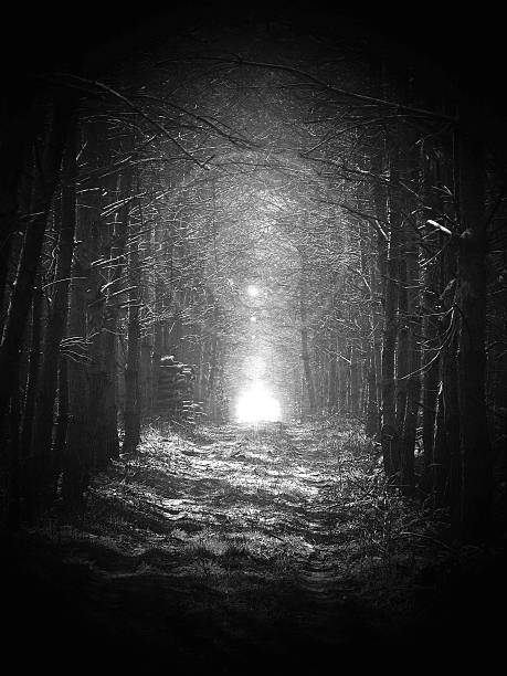 istock black and white, Road in magic dark forest, sun glare 531052276