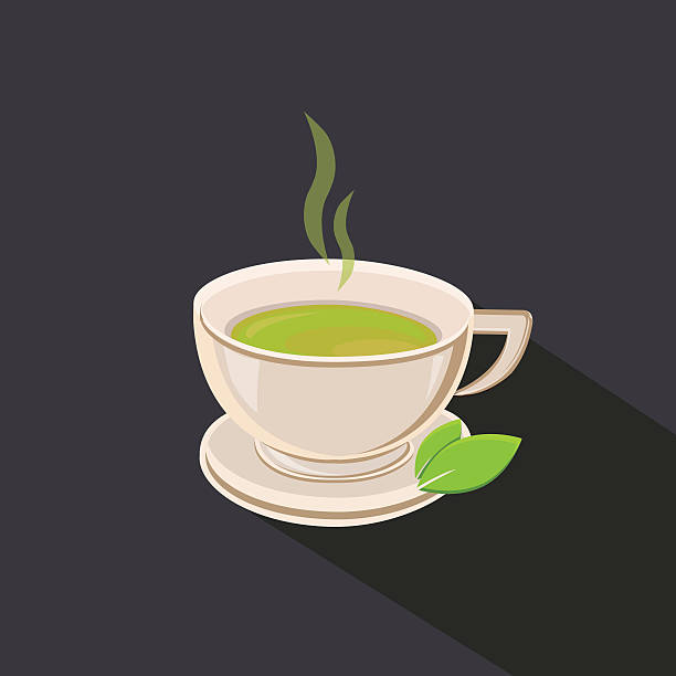 Green Tea cup vector illustration Green Tea cup vector illustration vector food branch twig stock illustrations
