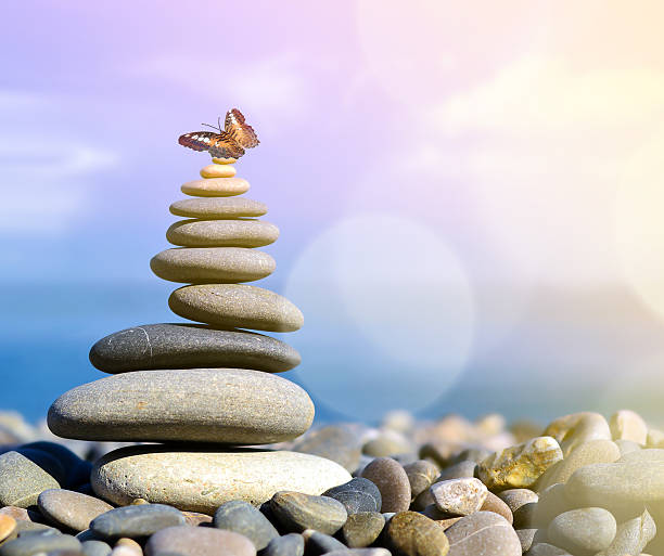istock Stone balance and butterfly 531055462