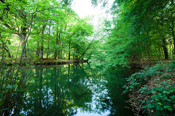 istock City Park Lake view 531055624