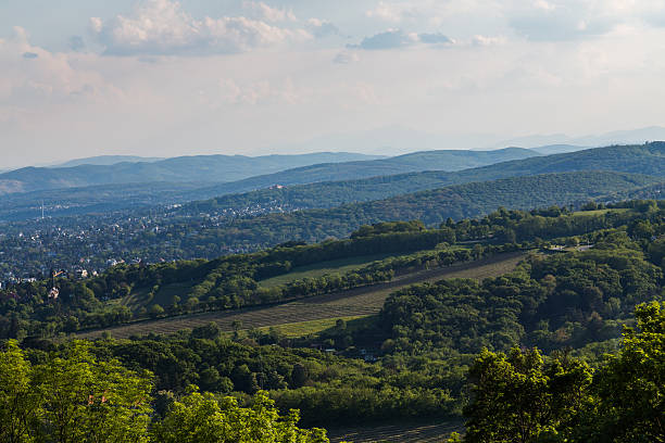 Vienna Woods in the Spring A view over the Vienna woods in the Spring showing hills, trees and some buildings vienna woods stock pictures, royalty-free photos & images