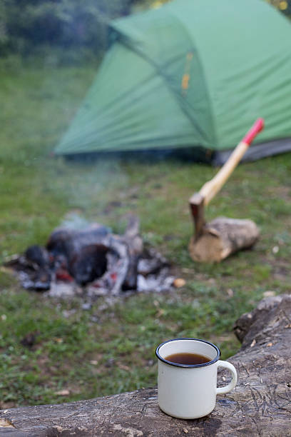 istock Camping in the woods. 531057214