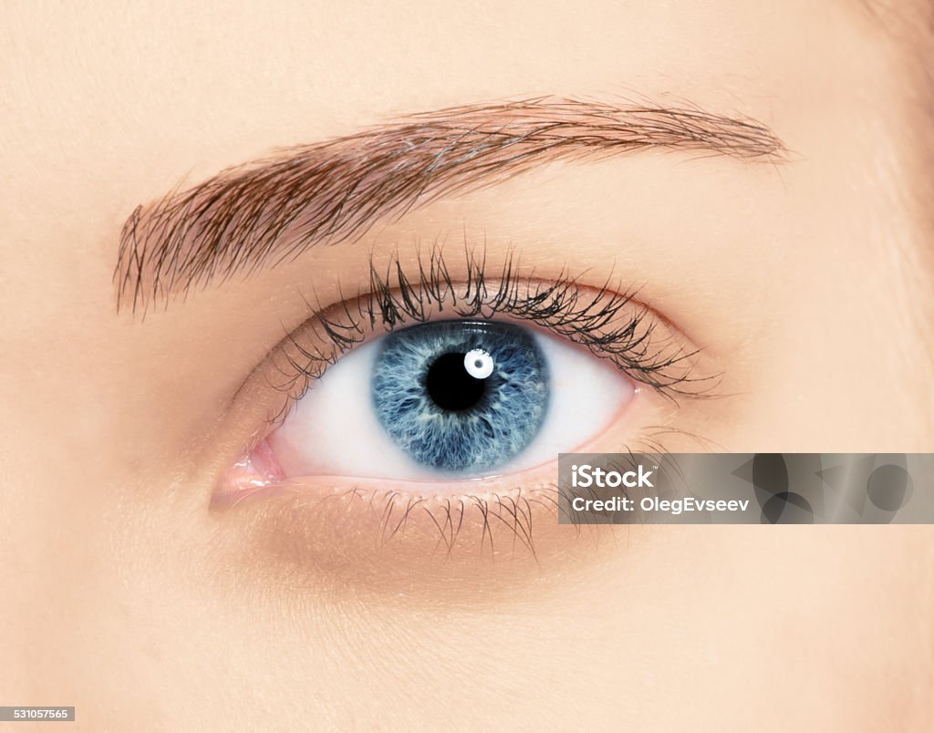 Close up blue eye with makeup Close up blue eye with makeup , macro shot with perfect skin  2015 Stock Photo