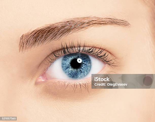 Close Up Blue Eye With Makeup Stock Photo - Download Image Now - 2015, Adult, Beautiful People