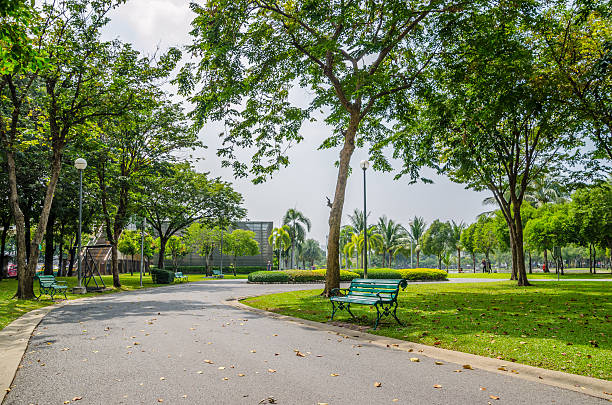 istock Wood bench in the park 531058211