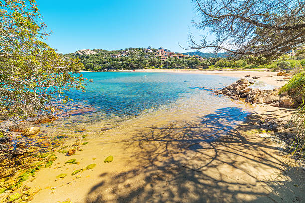 istock shadows in Liscia di Vacca beach 531058652