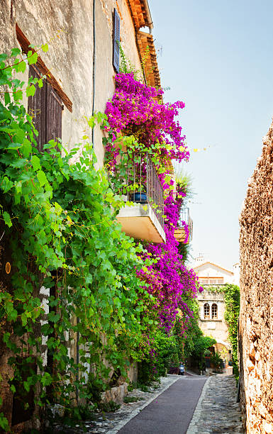 magnifique vieille ville de provence - travel nature rural scene outdoors photos et images de collection