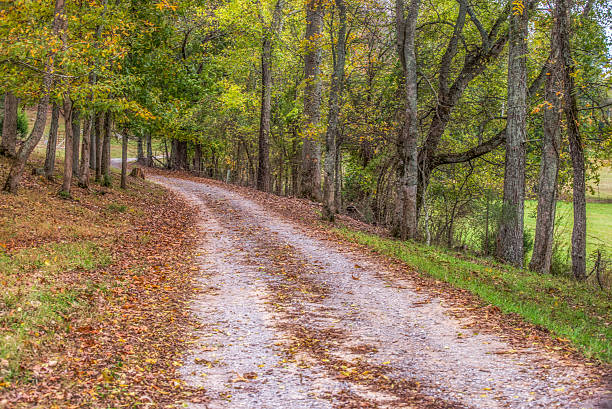 istock Gravel Road Through Trees with Fall Foliage 531059663
