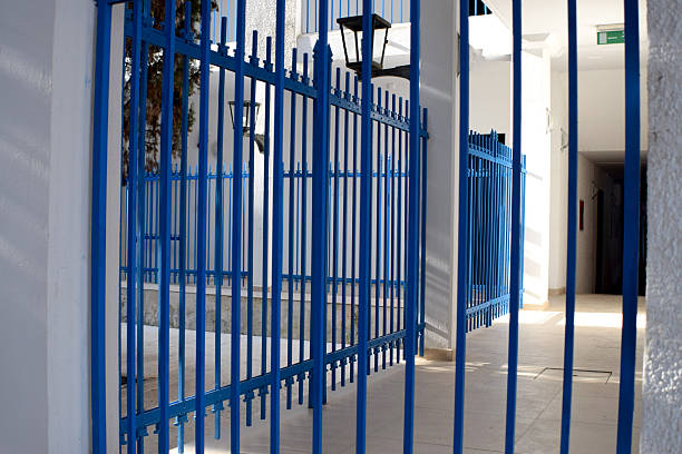 istock Behind the blue fence 531059716