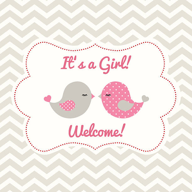Girl baby shower with two cute birds, illustration vector art illustration