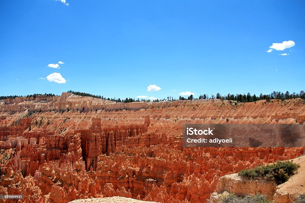 view over the bryce canyon view over the bryce canyon, afternoon clear sky,in vication 2015 Stock Photo