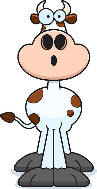 Surprised Cow Illustrations, Royalty-Free Vector Graphics & Clip Art -  iStock