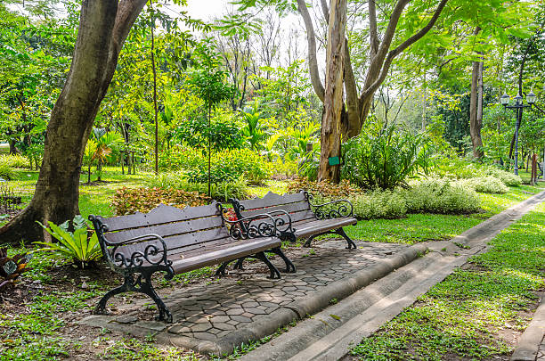 istock Wood bench in the park 531060407