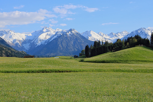 Scenic panoramic view of idyllic rolling hills landscape with blooming meadows and snowcapped alpine mountain peaks in the background on a beautiful sunny day with blue sky and clouds in summertime