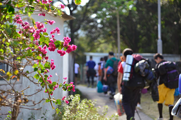 Hiking stock photo