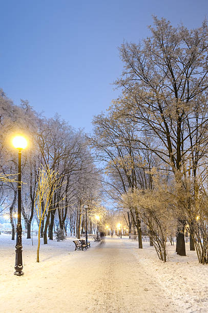 istock Footpath in a fabulous winter city park 531063137