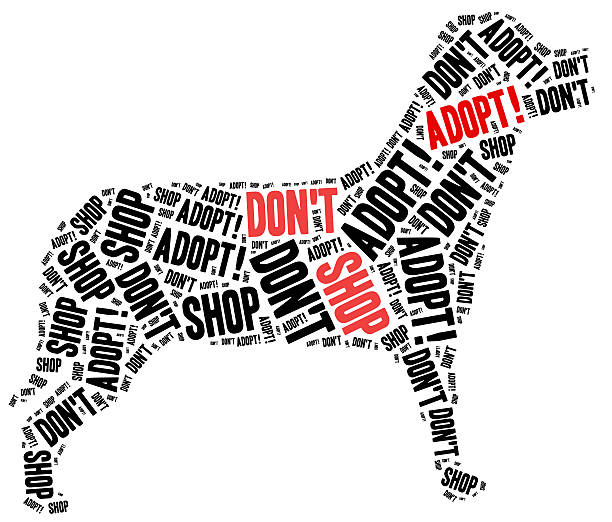 Don't shop, adopt. Animals or domestic pets adoption concept. Word cloud illustration.