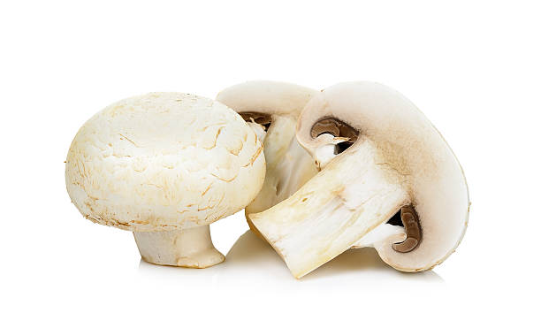 istock Champignon mushroom isolated on white 531065606