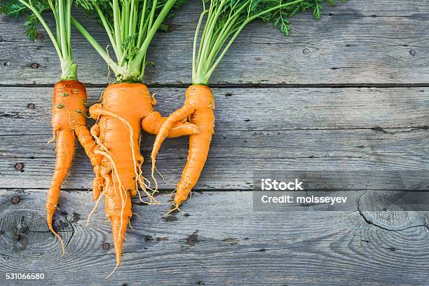 Trendige Hässlich Bio Karotten Stockfoto und mehr Bilder von Häßlichkeit - Häßlichkeit, Gemüse, Unvollkommenheit