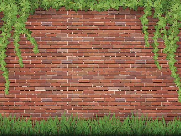 Vector illustration of ivy and grass on brick wall background