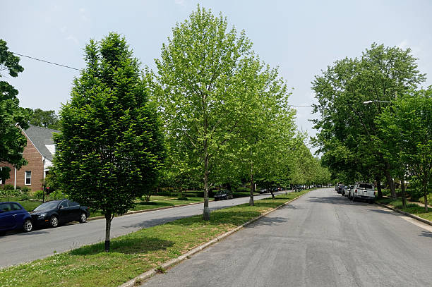istock Neighborhood Block in Spring 531068794