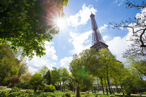 Gorgeous Panoramic View from Paris, Eiffel Tower in the midst of Nature.