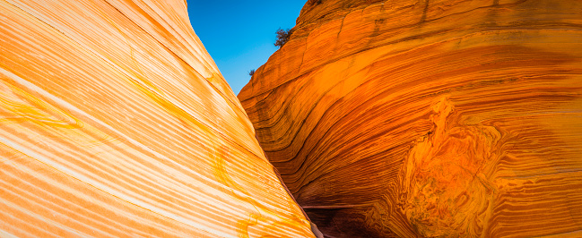 The vibrant swirling strata and iconic curving canyons of The Wave, the landmark rock formation deep in the Paria Canyon-Vermillion Cliffs Wilderness National Monument of Arizona and Utah, Southwest USA. ProPhoto RGB profile for maximum color fidelity and gamut.
