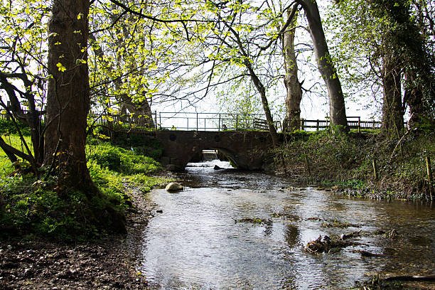 istock Stone bridge over a steam in the Chilterns 531070890