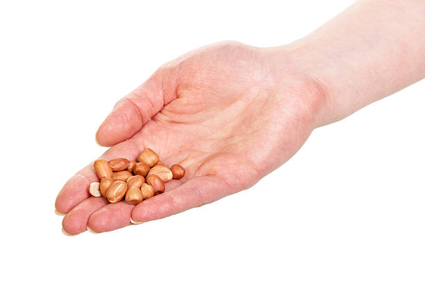 istock Handful of peanuts in his hand isolated on white 531071256