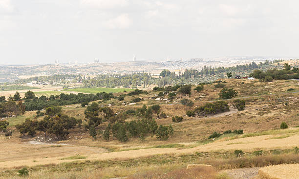 istock Cityscape fields blossom, Modiin, Israel. 531071760