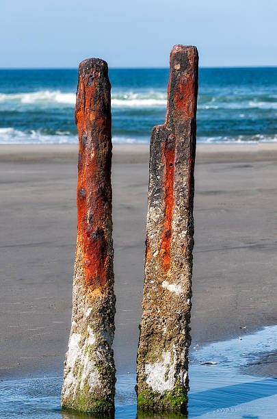 istock Peter Iredale Shipwreck rusted parts 531072093