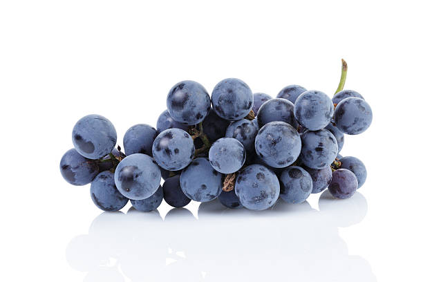 istock ripe isabella grapes isolated 531072373