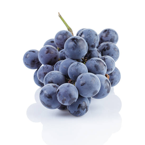istock ripe isabella grapes isolated 531072377