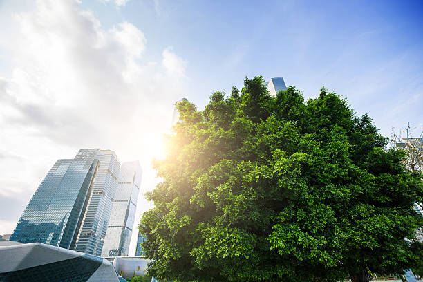 istock Green city park 531072718