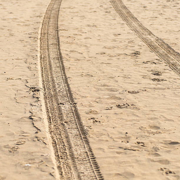 istock car tyre tracks on the beach sand 531073327