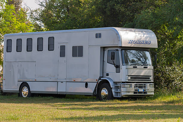 istock modern truck for horses transportation 531074807