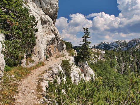 Footpath in the Velebit National Park, Croatia. UNESCO World Heritage Site.