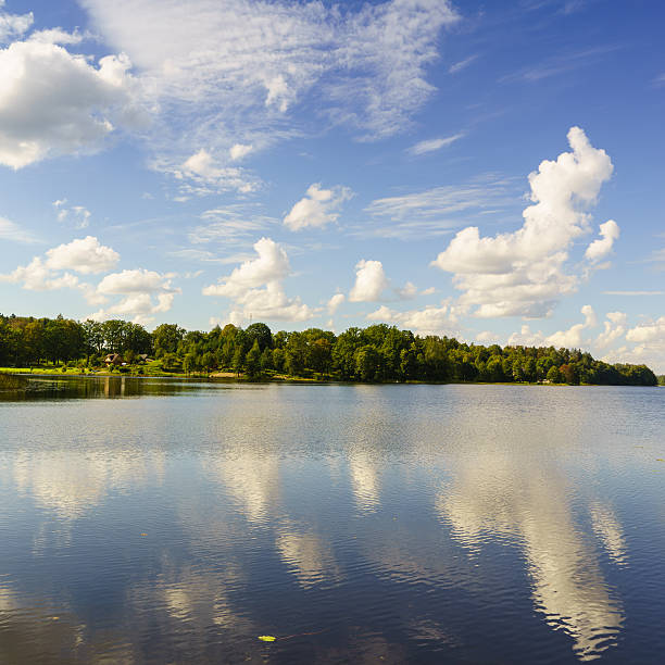 istock reflection of clouds in the lake with boardwalk 531077327