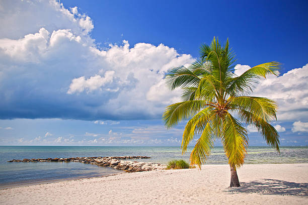 istock Key WEst, Florida Keys USA 531078573