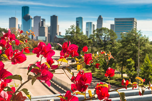 Houston skyline on spring with flower Houston skyline on spring with flower  Spring TX stock pictures, royalty-free photos & images