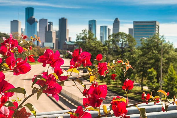 houston skyline on spring with flower - houston-texas bildbanksfoton och bilder