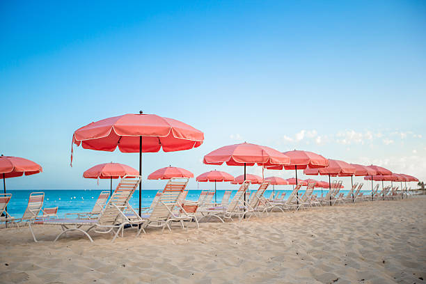 istock Paradise view of tropical exotic beach 531086115